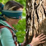 Waldbaden für Paerchen mit allen Sinnen Haengematte Wuerzburg Kirsten Hart Natur- und Resilienztrainig